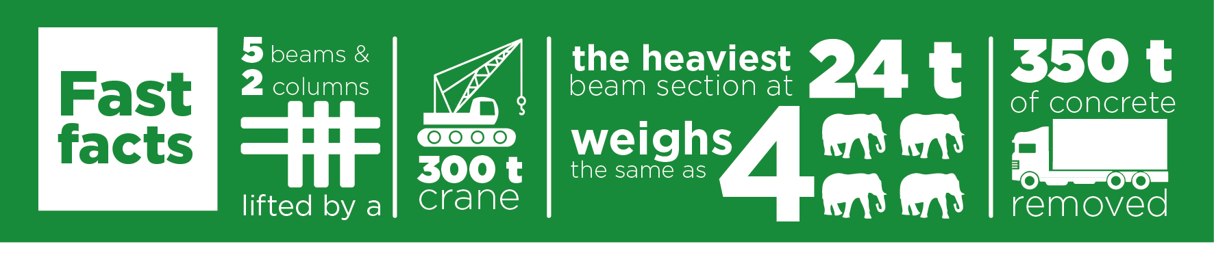 Infographic Puhinui Fast Facts LinkedIn