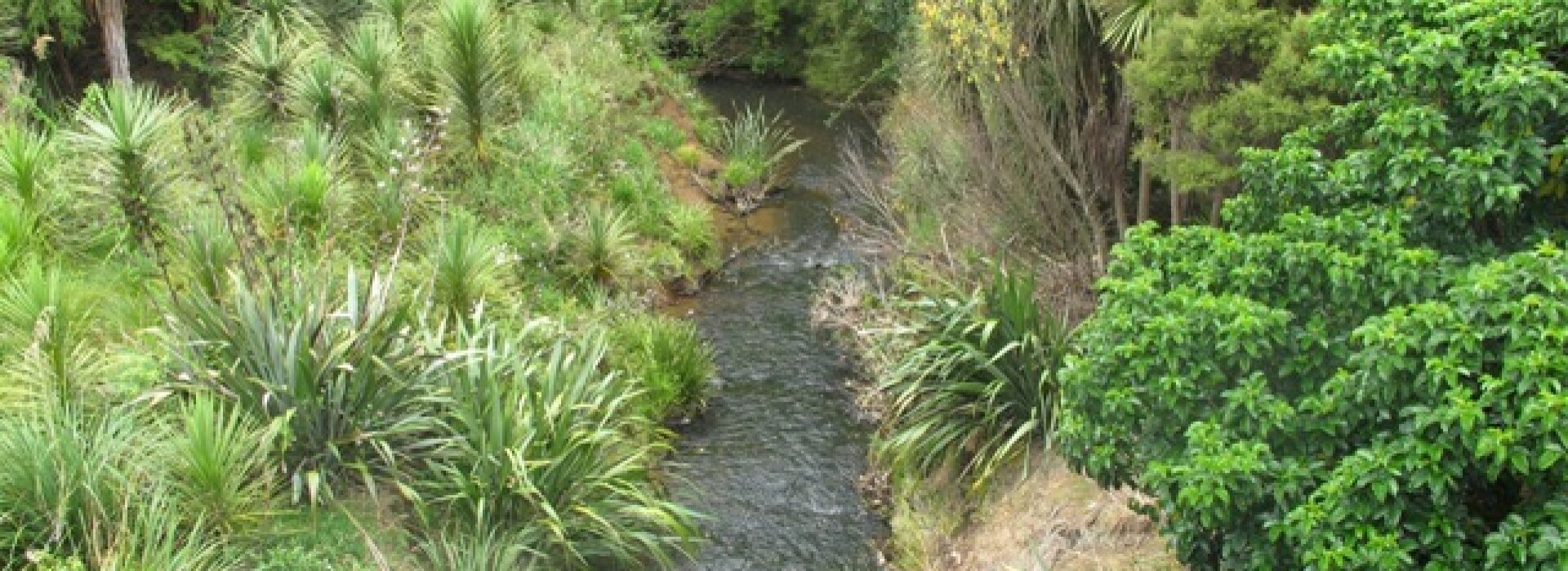 McConnell Dowell awarded Corban Reserve Stormwater Upgrade Project