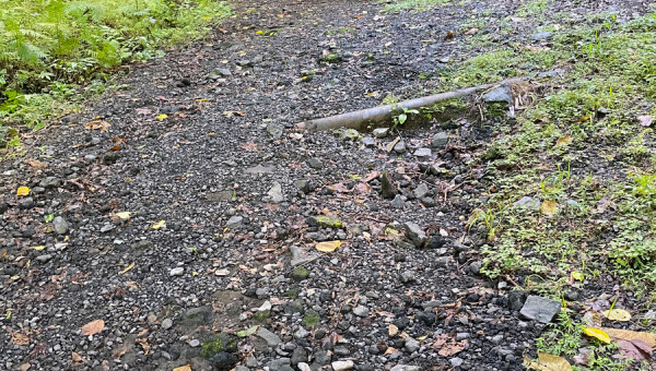 Mount Alava  Access Road Rehabilitation